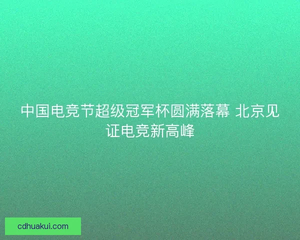 中国电竞节超级冠军杯圆满落幕 北京见证电竞新高峰